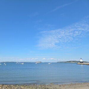 Meet your Posher, Shelby